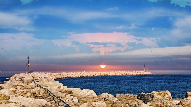 塑胶跑道材料业务助力工艺与技术创新k1体育娱乐平台!